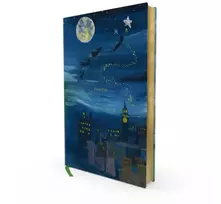 KNYGA BARRIE J M Peter Pan (Painted Editions)