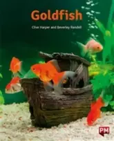 KNYGA Bookshop PM Oranžinis GOLDFISH N FIC LEV16