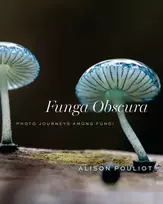 KNYGA Bookshop Funga Obscura