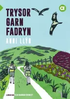 KNYGA Anni Llyn Cyfres Amdani: Trysor Garn Fadryn