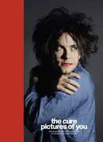 KNYGA Tom Sheehan Cure - Pictures of You