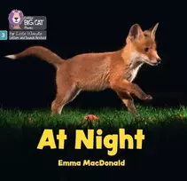 KNYGA Emma Macdonald At Night