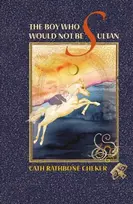 KNYGA Bookshop Boy Who Would Not Be Sultan