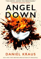 KNYGA Bookshop Angel Down