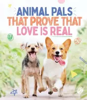 KNYGA Smith Street Books Animal Pals That Prove That Love Is Real
