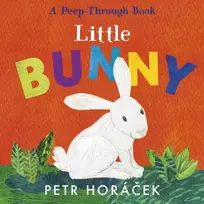 KNYGA Petr Horacek Little Bunny
