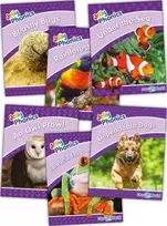 KNYGA Louise Van Pottelsberghe Jolly Phonics Readers Level 5, Our World
