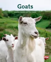 KNYGA BEVERLEY RANDELL GOATS