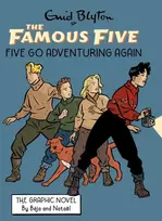 KNYGA Enid Blyton Famous Five Graphic Novel: Five Go Adventuring Again