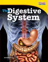 KNYGA Bookshop Digestive System