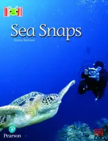 KNYGA Diana Noonan Bug Club Reading Corner: Age 5-7: Sea Snaps