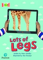 KNYGA Claire Llwellyn Bug Club Reading Corner: Age 4-7: Lots of Legs