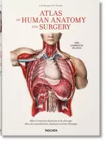 KNYGA Jean-Marie Le Minor Bourgery. Atlas of Human Anatomy and Surgery