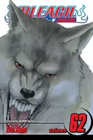 KNYGA Tite Kubo Bleach, Vol. 62