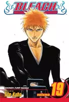 KNYGA Tite Kubo Bleach, Vol. 19