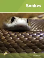 KNYGA David Orme Snakes