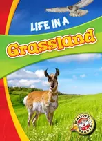 KNYGA Laura Hamilton Waxman Life in a Grassland