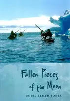 KNYGA Robin Lloyd Jones Fallen Pieces of the Moon