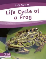 KNYGA Meg Gaertner Life Cycle of a Frog