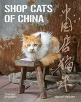 KNYGA Marcel Heijnen Shop Cats of China