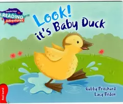 KNYGA Gabby Pritchard Cambridge Reading Adventures Look! It's Baby Duck Raudona Band