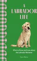 KNYGA Sara Weiss Labrador Life, What to Know and Love About the Labrador Retriever
