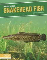 KNYGA Emma Huddleston Snakehead Fish