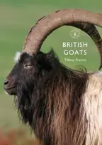 KNYGA Tiffany Francis British Goats