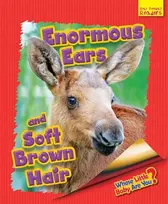 KNYGA Bookshop Whose Little Baby Are You? Enormous Ears and Soft Brown Hair