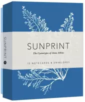KNYGA Princeton Architectural Press Staff Sunprint Notecards