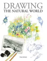 KNYGA Rosemary Drysdale Drawing the Natural World