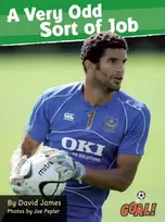 KNYGA David James Very Odd Sort of Job