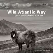 KNYGA Giles Norman Wild Atlantic Way