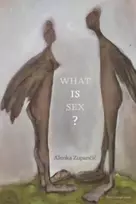 KNYGA Alenka Zupancic What IS Sex?