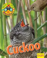 KNYGA Ruth Owen Wildlife Watchers: Cuckoo