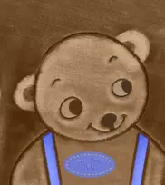 KNYGA Sally Lloyd Jones Tiny Bear Bible