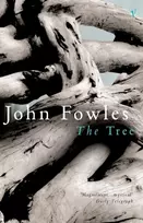 KNYGA John Fowles Medis