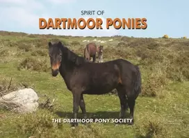 KNYGA Dartmoor Pony Society Spirit of Dartmoor Ponies