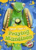 KNYGA Megan Borgert Spaniol Praying Mantises
