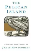 KNYGA James Montgomery Pelican Island (Illustrated Edition)