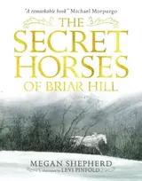 KNYGA Megan Shepherd Secret Horses of Briar Hill
