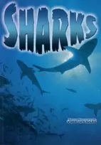 KNYGA John Townsend Sharks