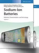 KNYGA Maria Magdalena Titirici Sodium-Ion Batteries