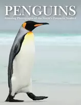 KNYGA Tom Jackson Pingvinai