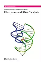 KNYGA UK) Lilley David M J (University of Dundee Ribozymes and RNA Catalysis