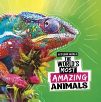 KNYGA Cari Meister World's Most Amazing Animals