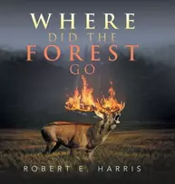 KNYGA Bookshop Where Did the Forest Go