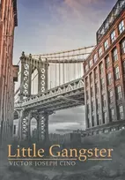 KNYGA Bookshop Little Gangster