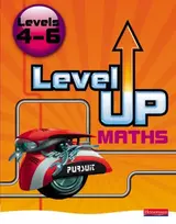 KNYGA Howard Hughes Level Up Maths: Pupil Book (Level 4-6)