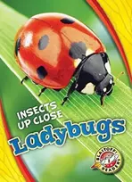 KNYGA Christina Leaf Ladybugs